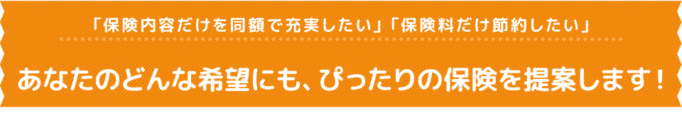「保険内容だけを同額で充実したい」「保険料だけ節約したい」あなたのどんな希望にも、ぴったりの保険を提案します！